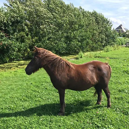 Klein Giethoorn ベッド・アンド・ブレックファスト