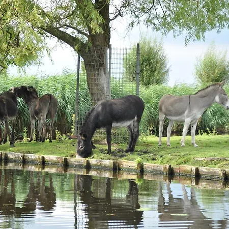 Klein Giethoorn Bed & Breakfast Hazerswoude-Dorp